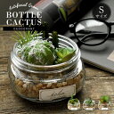 CT触媒 テラリウム ガラスキャニスター寄せ植え Sサイズ 多肉植物 サボテン ボトル フェイクグリーン インテリアグリーン 観葉植物 エクリア 造花 人工 イ...