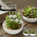 CT触媒 多肉植物 サキュレントリフレリウム 寄植え丸鉢 陶器 サボテン フェイクグリーン インテリアグリーン 観葉植物 造花 人工 スクエアガラス 陶器 イミ...