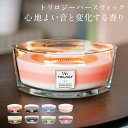 【5/1限定！ポイント10倍】ディプティック フドゥボア(たきぎ) キャンドル 300g DIPTYQUE FEU DE BOIS CANDLE [4800]