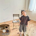 ナチュラル袖フリルトップス キッズ 赤ちゃん 女の子 入園 入学 卒園 卒業退院 出産祝い プレゼント ギフト 写真撮影 お祝い 韓国子供服 服 シンプル 春 ...