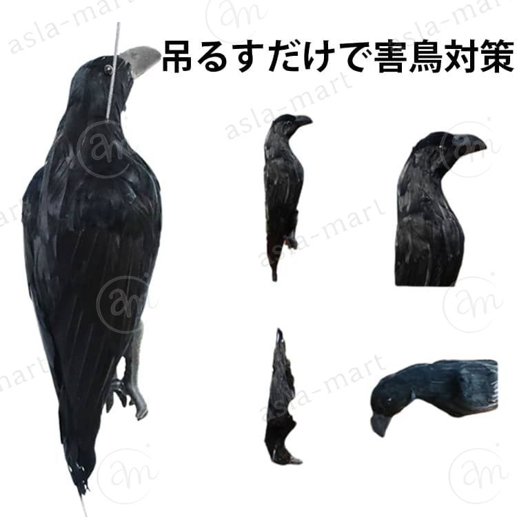 【吊り下げ簡単特大ダミーカラス】全長43cm(43×16×16cm) 上下に吊り下げ紐付きで、お困りの場所に吊り下げるだけ。カラス撃退に畑、庭、屋上、ベランダ等、ごみネットやボックス、ゴミ箱等にも簡単に設置していただけます。※この商品はカラスのダミー（模型）です。本物ではありません。【効果的な設置方法】設置する際はできるだけ対象のカラスが出没するときが効果的です。カラスに対して当商品をもって近づいていくとカラスは近寄りにくくなります。【長期間の使用について】長期間の使用で一部変色しますが、使用には問題はありません。鳥よけネットなどと合わせてもご使用いただけます。【ハロウィーンの装飾】この本物そっくりリアルダミーカラスは、ハロウィーンの仮装やお家の装飾にぴったりです。周りと差が付くこと間違いなしでしょう。 サイズ 43×16×16cm サイズについての説明 サイズ：43*16*16cm,250g※画像の商品は光の照射や角度により、実物と色味が異なる場合がございます。また表示のサイズ感と実物は若干異なる場合もございますので、予めご了承ください。※サイズ感につきましては体型により異なりますので、予めご了承ください。※サイズ詳細等の測り方はスタッフ間で統一、徹底はしておりますが、実寸は商品によって若干の誤差がある場合がございますので、予めご了承ください。※通常のサイズ基準ではなく、身長と体重を参考にお選びください。 素材 そのほか 色 写真色 備考 ●サイズ詳細等の測り方はスタッフ間で統一、徹底はしておりますが、実寸は商品によって若干の誤差(1cm〜3cm )がある場合がございますので、予めご了承ください。 ●製造ロットにより、細部形状の違いや、同色でも色味に多少の誤差が生じます。 ●パッケージは改良のため予告なく仕様を変更する場合があります。 ▼商品の色は、撮影時の光や、お客様のモニターの色具合などにより、実際の商品と異なる場合がございます。あらかじめ、ご了承ください。 ▼生地の特性上、やや匂いが強く感じられるものもございます。数日のご使用や陰干しなどで気になる匂いはほとんど感じられなくなります。 ▼同じ商品でも生産時期により形やサイズ、カラーに多少の誤差が生じる場合もございます。 ▼他店舗でも在庫を共有して販売をしている為、受注後欠品となる場合もございます。予め、ご了承お願い申し上げます。 ▼出荷前に全て検品を行っておりますが、万が一商品に不具合があった場合は、お問い合わせフォームまたはメールよりご連絡頂けます様お願い申し上げます。速やかに対応致しますのでご安心ください。【吊り下げ簡単特大ダミーカラス】全長43cm(43×16×16cm) 上下に吊り下げ紐付きで、お困りの場所に吊り下げるだけ。カラス撃退に畑、庭、屋上、ベランダ等、ごみネットやボックス、ゴミ箱等にも簡単に設置していただけます。※この商品はカラスのダミー（模型）です。本物ではありません。【効果的な設置方法】設置する際はできるだけ対象のカラスが出没するときが効果的です。カラスに対して当商品をもって近づいていくとカラスは近寄りにくくなります。【長期間の使用について】長期間の使用で一部変色しますが、使用には問題はありません。鳥よけネットなどと合わせてもご使用いただけます。【ハロウィーンの装飾】この本物そっくりリアルダミーカラスは、ハロウィーンの仮装やお家の装飾にぴったりです。周りと差が付くこと間違いなしでしょう。 サイズ 43×16×16cm サイズについての説明 サイズ：43*16*16cm,250g※画像の商品は光の照射や角度により、実物と色味が異なる場合がございます。また表示のサイズ感と実物は若干異なる場合もございますので、予めご了承ください。※サイズ感につきましては体型により異なりますので、予めご了承ください。※サイズ詳細等の測り方はスタッフ間で統一、徹底はしておりますが、実寸は商品によって若干の誤差がある場合がございますので、予めご了承ください。※通常のサイズ基準ではなく、身長と体重を参考にお選びください。 素材 そのほか 色 写真色 備考 ●サイズ詳細等の測り方はスタッフ間で統一、徹底はしておりますが、実寸は商品によって若干の誤差(1cm〜3cm )がある場合がございますので、予めご了承ください。 ●製造ロットにより、細部形状の違いや、同色でも色味に多少の誤差が生じます。 ●パッケージは改良のため予告なく仕様を変更する場合があります。 ▼商品の色は、撮影時の光や、お客様のモニターの色具合などにより、実際の商品と異なる場合がございます。あらかじめ、ご了承ください。 ▼生地の特性上、やや匂いが強く感じられるものもございます。数日のご使用や陰干しなどで気になる匂いはほとんど感じられなくなります。 ▼同じ商品でも生産時期により形やサイズ、カラーに多少の誤差が生じる場合もございます。 ▼他店舗でも在庫を共有して販売をしている為、受注後欠品となる場合もございます。予め、ご了承お願い申し上げます。 ▼出荷前に全て検品を行っておりますが、万が一商品に不具合があった場合は、お問い合わせフォームまたはメールよりご連絡頂けます様お願い申し上げます。速やかに対応致しますのでご安心ください。