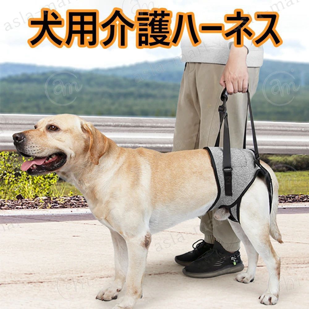 【介護】体力や足の力が弱い老犬の世話をしたり、車や階段、入り口を持ち上げたりするのに使用でき、歩行を補助する介護ハーネスです。犬のリハビリのための理想的な歩行補助ハーネスです。 【調節可能】わんちゃんの脚の長さや飼い主さんの背の高さに合わせて調節できるようになっています。 【贈り物に最適】この犬用介護ハーネス はかわいいだけでなく、カラフルでもあり、贈り物に最適です。 【便利な収納】終了したら、便利な持ち運ぶことができます。排尿や排便を妨げることはありません。 【素材】オックスフォード生地＋メッシュ、しっかりとした耐久性。【サイズ】:S，M，L，XL【介護】体力や足の力が弱い老犬の世話をしたり、車や階段、入り口を持ち上げたりするのに使用でき、歩行を補助する介護ハーネスです。犬のリハビリのための理想的な歩行補助ハーネスです。 【調節可能】わんちゃんの脚の長さや飼い主さんの背の高さに合わせて調節できるようになっています。 【贈り物に最適】この犬用介護ハーネス はかわいいだけでなく、カラフルでもあり、贈り物に最適です。 【便利な収納】終了したら、便利な持ち運ぶことができます。排尿や排便を妨げることはありません。 【素材】オックスフォード生地＋メッシュ、しっかりとした耐久性。【サイズ】:S，M，L，XL