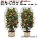 防虫網 通気性 植物保護カバー 80*100cm 農業用 80*80cm 虫よけネット 防虫シート 3個セット 畑 防虫ネット 防虫ネット 花壇適用 虫鳥除け網 虫ネット 野菜作り 菜園 野菜 苗 100*150cm ハウス 園芸用