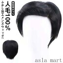 「Fashion THE SALE」半額 フルウィッグ 自然 男性用かつら メンズウイッグ ウィッグ メンズ かつら ショート 人毛100%! メンズウィッグ ...