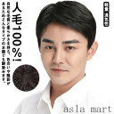 「Fashion THE SALE」半額 人毛100%! ウイッグ かつら フルウィッグ ビジネス用 カツラ 自然 ナチュラル 軽量 メンズ 黒髪 短髪 白髪隠...