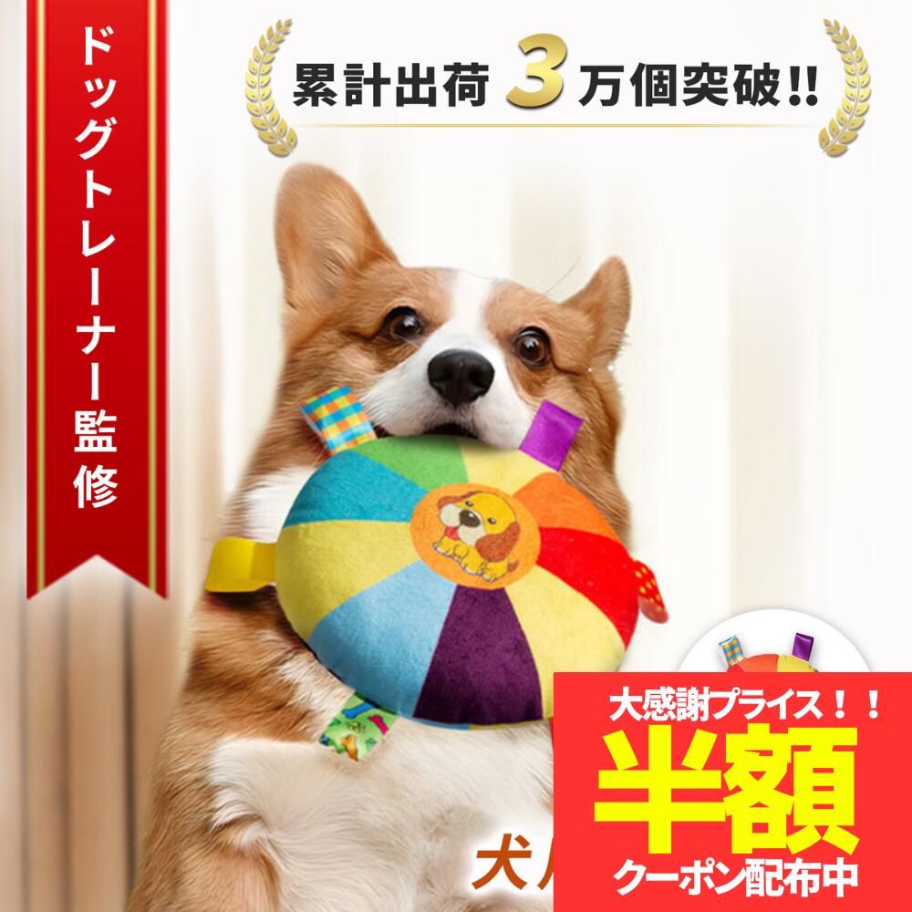 【4日20時～50枚限定！半額クーポン