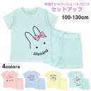 セットアップ キッズ 子供服 ウサギ 半袖Tシャツ ハーフパンツ 上下セット 綿☆全4色【あす楽対応_北海道】【Fashion THE SALE】