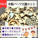 【楽天スーパーSALE 50%off】【木製パーツ 森のカケラ 大容量3kg】工作 木工 図工 小学生 材料 木製 大容量 詰め合わせ 夏休み 業務用 自由研究 木育 端材 ワークショップ クラフト 子ども 宿題 レクリエーション 子供会 親子会 幼稚園 保育園 宝探し お祭り 出店 つかみ取り