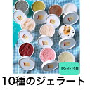 10種のジェラート 120ml×10個 ジェラート お取り寄せ アイス クリーム 濃厚 黒ごま いちご ミルク 生キャラメルチョコ ベルギーチョコ 抹茶 キウイ ラムレーズン 玄米 ブルーベリー ジャージー牛乳 フルーツ 母の日 ギフト プレゼント 冷凍 スイーツ 熊本 取り寄せ 小学生