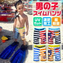イルカ ボーダー 総柄 水着 スイムウェア スイムパンツ ハーフパンツ キッズ ジュニア ベビー 男の子 子供 こども 子ども 小学生 幼稚園 夏 レジャー 海 プール 紫外線対策 おしゃれ かっこいい お揃い 兄弟 ペア 双子コーデ UVカット 速乾加工 超軽量 90 95 100 110 120 130(4)