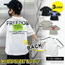 ؍q LbY TVc BIGTCY C FREEDOM TVc I[o[TCY [Y  q j̎q ̎q w WjA  pW} ؍ q   ǂ qǂ 110cm 120cm 130cm 140cm 150cm 160cm