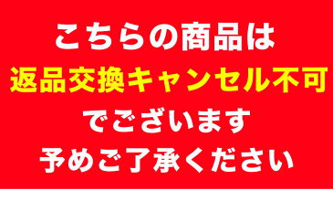 【4月下旬頃発送】不織布マスク 50枚入り 1箱 不織布マスク 使い捨てマスク 大人用