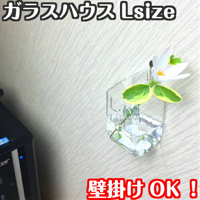 ֥饹ϥ̥ץƥꥢե١Ӿȷ饹Ʃɳݤִޤ饹١