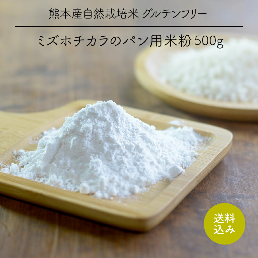 [送料込み] ミズホチカラのパン用米粉 500g / グルテンフリー / 自然栽培 / 熊本産 / 小麦粉・増粘剤 無添加 /