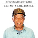  令和5年度産 緒方孝行さんのお米 イセヒカリ 玄米24kg / 自然栽培米 無農薬栽培 / 熊本阿蘇産