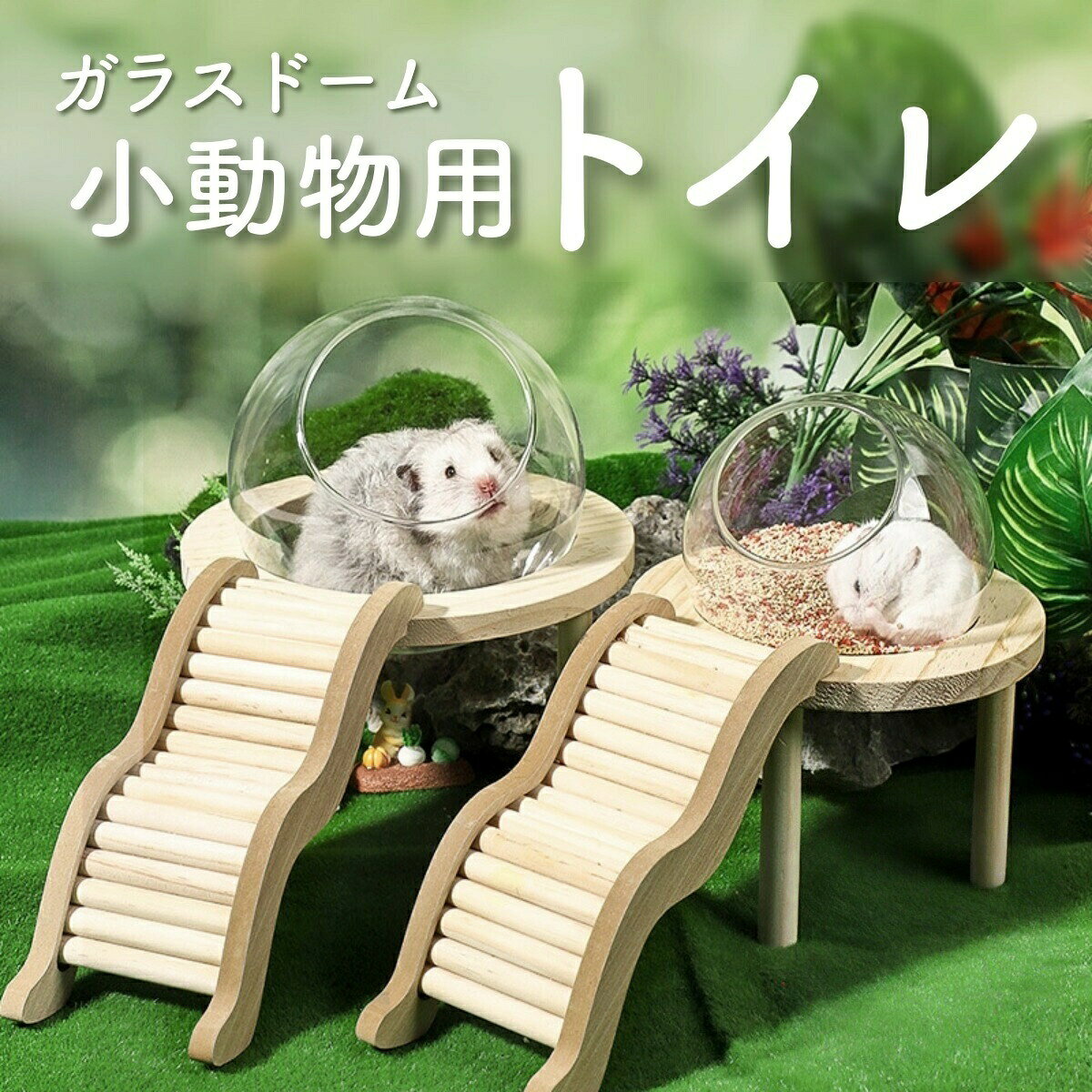 ハムスター 砂遊び 容器 トイレ エサ入れ ケージ クリア かじり木 プラットフォーム はしご付き 木製 小動物用トイレ おしゃれ 砂風呂 小動物 ドーム型 透明 ジャ 小鳥 デグー 砂場