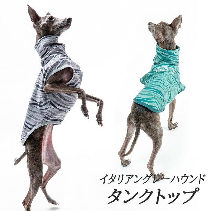 イタリアングレーハウンド ミニピン 服 夏服 イタグレ 犬服 春 夏 ナイロン ハイネック タンクトップ スポーティータンク 熱中症対策 シンプル IG0 機能性素材 ストレッチ素材 部屋着