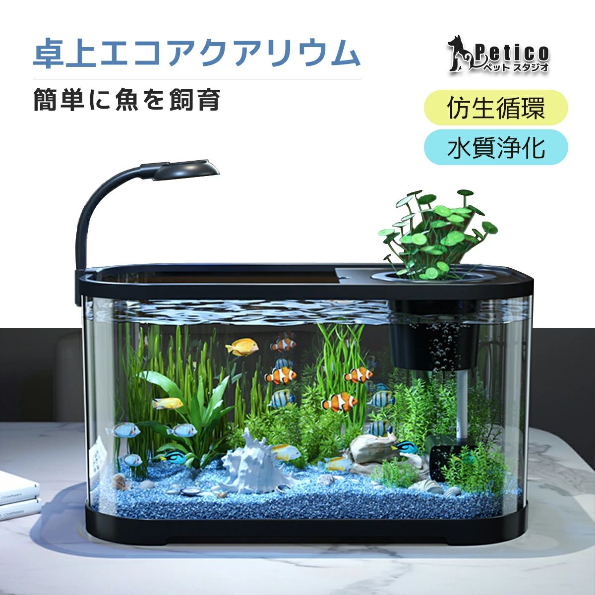 おしゃれにテーブルで楽しむメダカ水槽セット 観葉植物 金魚鉢 メダカ 水槽セット 水槽 ベタ 金魚 熱帯魚 アクアリウム インテリア 飼育セット 癒やし アクアポニクス