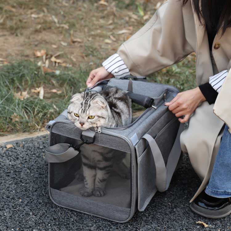 小型犬 ショルダー 折りたたみ 犬 お出かけ 旅行 猫 ドライブ 手提げ 軽量 キャリ...
