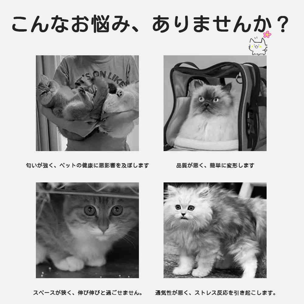 アソラのリュックバッグ 2WAYキャリー 小型犬対応 手提げ 折り畳み 犬猫兼用 7.5kgまで ケース ハンドル付き コンパクト キャリー 猫 飛び出し防止 ペット キャリーケース 持ち運び ペットキャリーバッグ リュックサック ペット用品｜アングル2