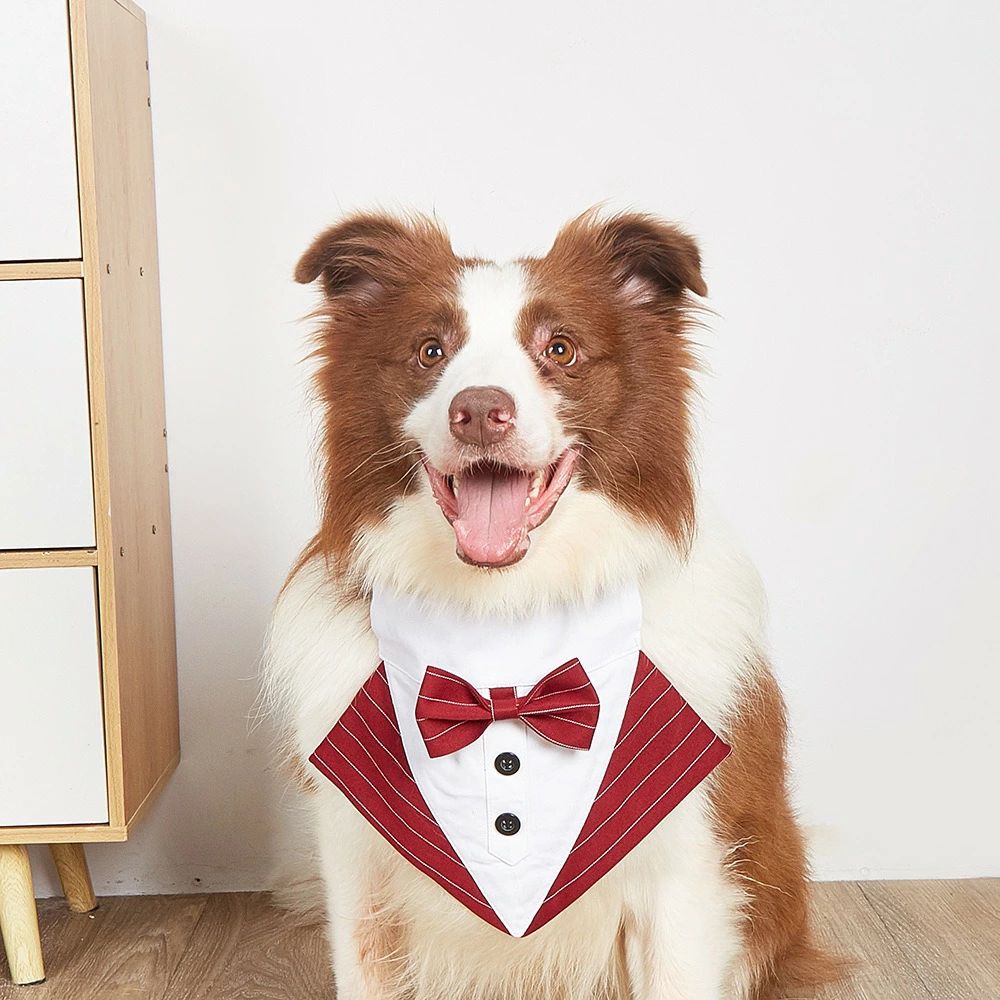 洋服 ペットウェア ペット用 ドッグウェア 犬の服 犬グッズ 小型犬 おしゃれ ペッ...