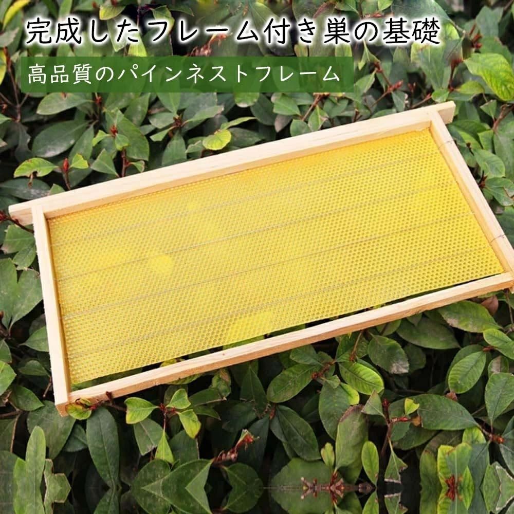 アソラの蜂ハイブ 巣礎 フレーム 巣箱 杉材 完成巣枠 巣枠 巣 蜂の巣フレーム シート 蜜蜂巣箱10 耐久性のあります 養蜂器具蜂蜜蜂の巣箱 ワックスを煮る/乾燥巣箱 養蜂箱 養蜂器具 蜂蜜箱 礎 木製フレーム蜜蝋の巣の基礎 ミツバチ 蜜蜂巣箱 セイヨウミツバチ 巣礎付き｜アングル3