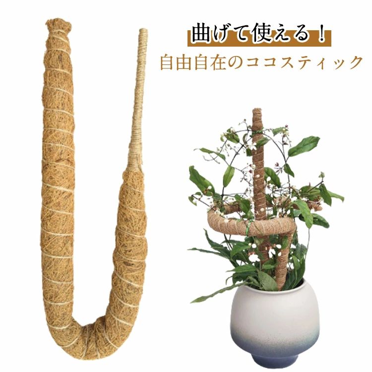 モンステラ支柱 ガーデニング モスポール ココスティック ポトス 植物サポート 支柱 つる性植物 園芸支柱 60cm 花ささえ ココナッツ支柱 観葉植物 80cm 6本セット曲げられる 70cm トマト対応