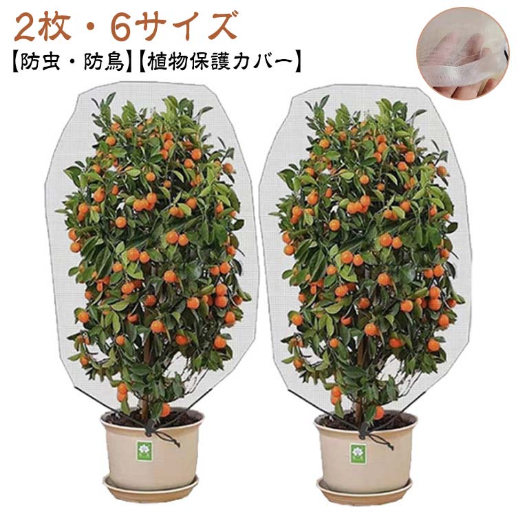 【植物保護カバー】【防虫・防鳥】【2枚・6サイズ】防虫・鳥対策ネット!透明で通気性抜群、巾着式2枚入り。園芸・プランター・菜園に最適。植物の大きさに合わせて選べる豊富なサイズバリエーション。鉢植えの大きさに合わせてピッタリサイズを選べます。寒さや風、霜、害虫や鳥などから植物を保護し、花や、野菜の生育を助けます。カバーを掛けるだけの簡単設置。巾着設計で、植物をしっかり保護できます。 サイズ0.8Mx0.8M 1Mx0.8M 1Mx1M 1.2Mx0.8M 1.5Mx1M 1.2Mx1.8M 1.2Mx1.44Mサイズについての説明0.8Mx0.8M 1Mx0.8M 1Mx1M 1.2Mx0.8M 1.5Mx1M 1.2Mx1.8M 1.2Mx1.44M素材PE素材色2個セット備考サイズ詳細等の測り方はスタッフ間で統一、徹底はしておりますが、実寸は商品によって若干の誤差(1cm〜3cm )がある場合がございますので、予めご了承ください。製造ロットにより、細部形状の違いや、同色でも色味に多少の誤差が生じます。パッケージは改良のため予告なく仕様を変更する場合があります。▼商品の色は、撮影時の光や、お客様のモニターの色具合などにより、実際の商品と異なる場合がございます。あらかじめ、ご了承ください。▼生地の特性上、やや匂いが強く感じられるものもございます。数日のご使用や陰干しなどで気になる匂いはほとんど感じられなくなります。▼同じ商品でも生産時期により形やサイズ、カラーに多少の誤差が生じる場合もございます。▼他店舗でも在庫を共有して販売をしている為、受注後欠品となる場合もございます。予め、ご了承お願い申し上げます。▼出荷前に全て検品を行っておりますが、万が一商品に不具合があった場合は、お問い合わせフォームまたはメールよりご連絡頂けます様お願い申し上げます。速やかに対応致しますのでご安心ください。みかん 防虫ネット 花壇適用 植物保護 0.8Mx0.8M 1Mx0.8M 1Mx1M 1.2Mx0.8M 1.5Mx1M 1.2Mx1.8M 1.2Mx1.44M【植物保護カバー】【防虫・防鳥】【2枚・6サイズ】防虫・鳥対策ネット!透明で通気性抜群、巾着式2枚入り。園芸・プランター・菜園に最適。植物の大きさに合わせて選べる豊富なサイズバリエーション。鉢植えの大きさに合わせてピッタリサイズを選べます。寒さや風、霜、害虫や鳥などから植物を保護し、花や、野菜の生育を助けます。カバーを掛けるだけの簡単設置。巾着設計で、植物をしっかり保護できます。 サイズ0.8Mx0.8M 1Mx0.8M 1Mx1M 1.2Mx0.8M 1.5Mx1M 1.2Mx1.8M 1.2Mx1.44Mサイズについての説明0.8Mx0.8M 1Mx0.8M 1Mx1M 1.2Mx0.8M 1.5Mx1M 1.2Mx1.8M 1.2Mx1.44M素材PE素材色2個セット備考サイズ詳細等の測り方はスタッフ間で統一、徹底はしておりますが、実寸は商品によって若干の誤差(1cm〜3cm )がある場合がございますので、予めご了承ください。製造ロットにより、細部形状の違いや、同色でも色味に多少の誤差が生じます。パッケージは改良のため予告なく仕様を変更する場合があります。▼商品の色は、撮影時の光や、お客様のモニターの色具合などにより、実際の商品と異なる場合がございます。あらかじめ、ご了承ください。▼生地の特性上、やや匂いが強く感じられるものもございます。数日のご使用や陰干しなどで気になる匂いはほとんど感じられなくなります。▼同じ商品でも生産時期により形やサイズ、カラーに多少の誤差が生じる場合もございます。▼他店舗でも在庫を共有して販売をしている為、受注後欠品となる場合もございます。予め、ご了承お願い申し上げます。▼出荷前に全て検品を行っておりますが、万が一商品に不具合があった場合は、お問い合わせフォームまたはメールよりご連絡頂けます様お願い申し上げます。速やかに対応致しますのでご安心ください。みかん 防虫ネット 花壇適用 植物保護 0.8Mx0.8M 1Mx0.8M 1Mx1M 1.2Mx0.8M 1.5Mx1M 1.2Mx1.8M 1.2Mx1.44M