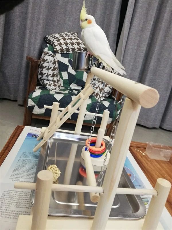 ケージスタンド 鳥用品 バードト 鳥ケージ止まり木 噛む 爪とぎ インコ おもちゃ ...