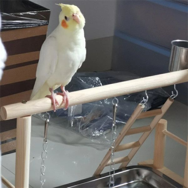 ケージスタンド 鳥用品 バードト 鳥ケージ止まり木 噛む 爪とぎ インコ おもちゃ ...