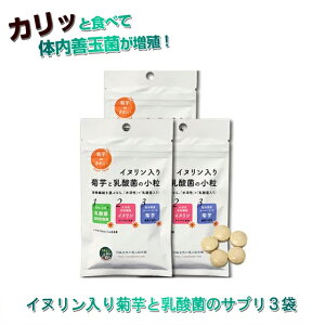 菊芋 サプリ キクイモ 水溶性食物繊維 フェカリス菌 イヌリン入り 菊芋と乳酸菌の小粒 3袋