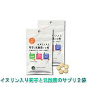 イヌリン入り 菊芋と乳酸菌の小粒 2袋 菊芋 サプリ キクイモ 水溶性食物繊維 フェカリス菌 サプリメント 腸活 腸内環境 スッキリ イヌリン サプリメント 国...