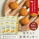 菊芋入り玄米クッキー(1袋6枚×6袋セット)<機能性表示食品> 送料無料【1回2セットまで】血糖値 対策 gluten-free vegan グルテン フリー ...