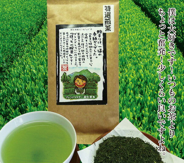 いつもより、贅沢な気分を味わいたいあなたに…特選煎茶　100gお茶日本茶緑茶煎茶粉茶番茶ほうじ茶10P13Nov14