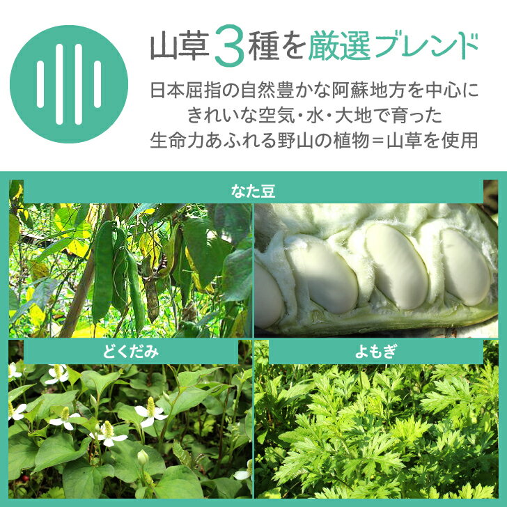阿蘇山草茶パウダー［すぅーすぅー］1g×25袋（粉末）九州産