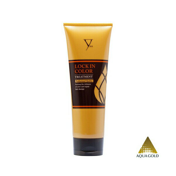 �ե����ƥ� LOCK IN COLOR �ȥ꡼�ȥ��� 240g