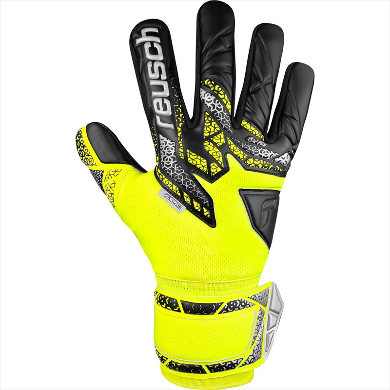 [reusch] ѡ ȥ饯 ե˥ƥ NC 5560725 2025 եƥߥСߥ֥...