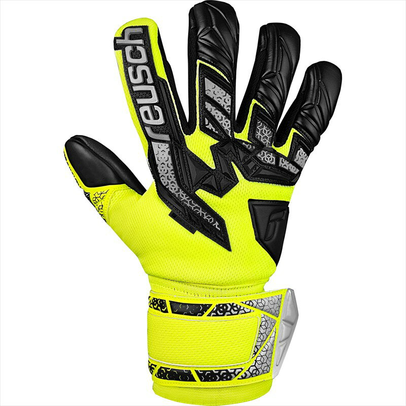 [reusch] ˥ѡ ȥ饯 ե꡼ С ˥ 5562235 2025 եƥ...