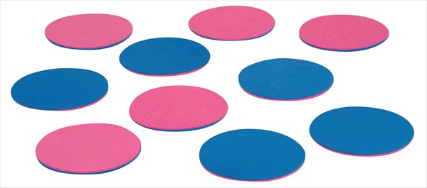 エバニュー レクリエーション用品 屋内スポーツリバーシ 10枚組 ETE092