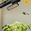 BRID LED SPOT LIGHT for PLANTS 20W 植物育成ライト スポットライト ダクトレール ソケット ライティングレール 天井 店舗 壁面緑化 壁面 室内 家庭菜園 室内園芸 観葉植物 植物育成 光合成促進 多肉植物 水耕栽培 室内栽培インテリア 暖色 白色 ホワイト ブラック 003392