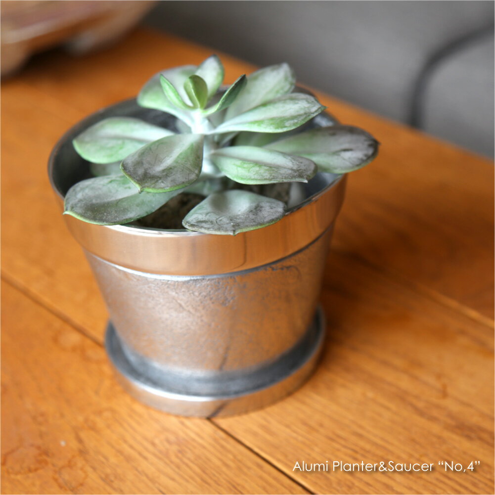 Alumi Planter&Saucer “No,4” 鉢 植木鉢 おしゃれ 小さい 小さな 可愛い 室内 ポット 受け皿 受皿 和風 ミニ アンティーク シル...