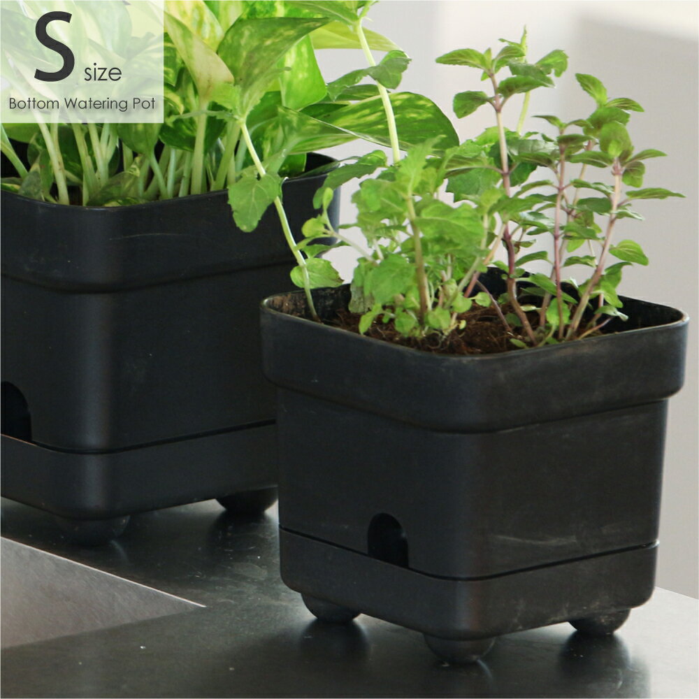 Bottom Watering Pot “Small” 底面給水 鉢 植木鉢 多肉植物 プランター おしゃれ 小さい 小さな 可愛い 室内 ポット 受け皿 受皿...