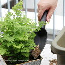 epoca Habitat Narrow Transplanter スコップ 小さい 園芸用 移植ゴテ 植え替え 小型 プラスチック 縦 掘り 農業 目盛り ガーデニング シャベル おしゃれ キャンプ アウトドア ガーデニング用品 かわいい 観葉植物 室内 屋外 北欧 水やり エクステリア イタリア