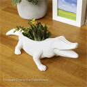 KIKKERLAND Porcelain Chomp The Gater Planter キッカーランド ワニ プランター 鉢 カップ 植木鉢 陶器 卓上 おし...