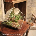 \ポイント最大37倍♪11日1:59まで/nkuku Geo Terrarium (L) ジオ テラリウム ガラス コレクション ケース ボックス 小物 入れ ...