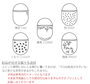 Storm Glass ストームグラス KIKKERLAND キッカーランド 天気 気候 結晶 理科 天気予報 天気予測器 天候予測管 気象予報器 天気管 結晶 オブジェ 置物 北欧 ガラス ウッド 木製 インテリア 雑貨 ギフト プレゼント 男性 女性