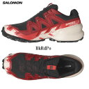 「全品5-10倍 5月1日迄」23FW SALOMON シューズ SPEEDCROSS 6 GORE-TEX: 正規品/サロモン/メンズ/トレイルランニング/スニーカー/靴/outdoor