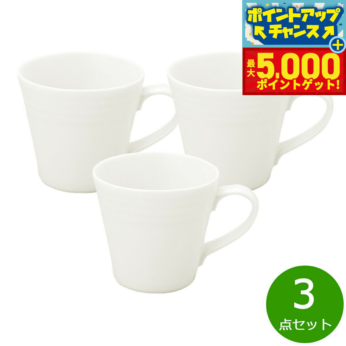 【最大5000ptバック！14日10時〜】森修焼 ナチュラルマグカップ 3点セット【送料無料】日本製 電子レン..
