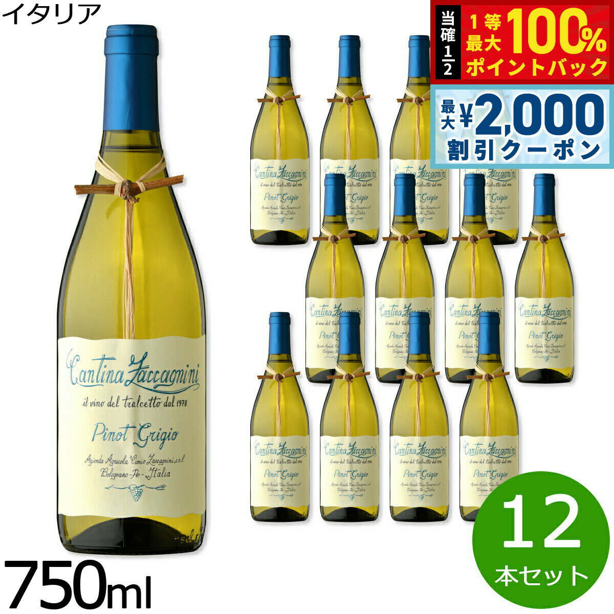 【3/10は当店限定Wイベント！2000円OFFクーポン＆抽選で最大10000ptバック】ピノグリージョ テッレ ディ キエティ イタリア産 辛口 白ワイン イタリアワイン 白 イタリア 750ml×12本【送料無料】