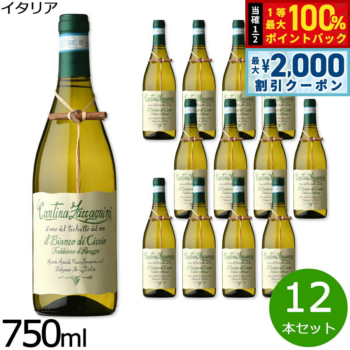 【3/10は当店限定Wイベント！2000円OFFクーポン＆抽選で最大10000ptバック】イル ビアンコ ディ チッチオ イタリア産 辛口 白ワイン イタリアワイン オイスターワイン 白 イタリア 金賞 750ml×12本【送料無料】